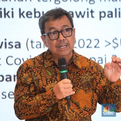 Terungkap! Ini Penyebab Produktivitas Sawit RI Masih Rendah