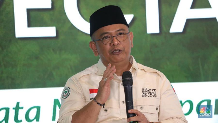 Ketuaa Umum APAKASINDO, Gulat Manurung memberikan pemeparan dalam Special Dialogue 'Menata Masa Depan Sawit Indonesia, di Jakarta  Kamis (16/11/2023). (CNBC Indonesia/Tri Susilo)