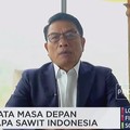 Moeldoko Ungkap 3 Masalah Besar Sawit Harus Dibereskan Segera