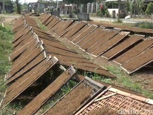 Hidup Terjamin Buruh Pabrik Rokok di Malang