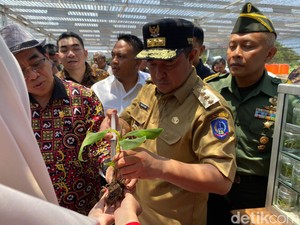 Pj Gubernur Sulsel Akan Bangun SMK Budi Daya Pisang di Bone, Anggaran Rp 15 M
