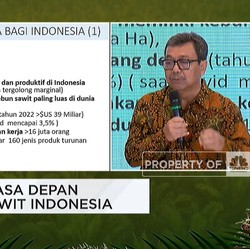 Tingkatkan Produksi Sawit, Ini Kendala yang Dihadapi Petani