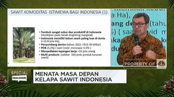 Tingkatkan Produksi Sawit, Ini Kendala yang Dihadapi Petani