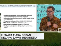 Tingkatkan Produksi Sawit, Ini Kendala yang Dihadapi Petani
