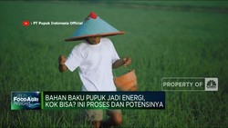 Ternyata Bahan Baku Pupuk Bisa Jadi EBT, Ini Prosesnya