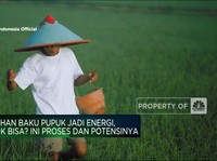 Ternyata Bahan Baku Pupuk Bisa Jadi EBT, Ini Prosesnya