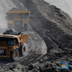 ESDM Bakal Atur Harga Batu Bara DMO untuk Pelaku Usaha