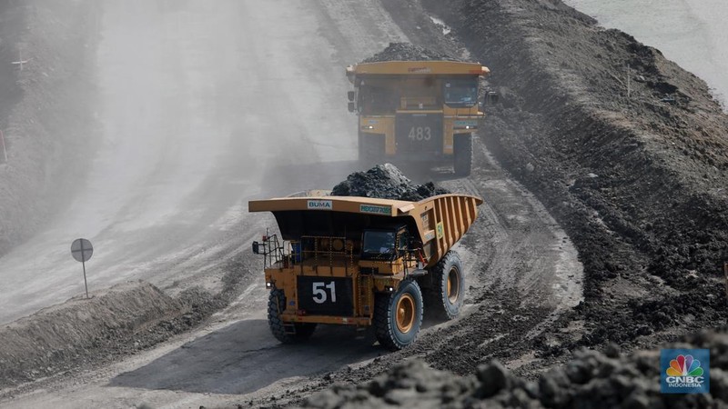Aktivitas pertambangan batubara milik Bayan Resources di Tabang/Pakar, Kalimantan, Jumat (17/11/2023). (CNBC Indonesia/Muhammad Sabki)
