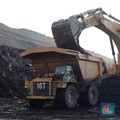 Aktivitas pertambangan batubara milik Bayan Resources di Tabang/Pakar, Kalimantan, Jumat (17/11/2023). (CNBC Indonesia/Muhammad Sabki).