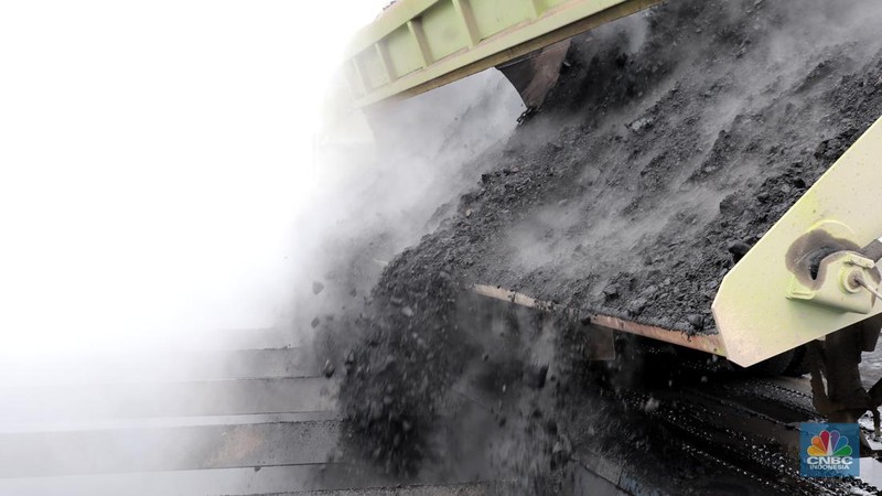 Aktivitas pertambangan batubara milik Bayan Resources di Tabang/Pakar, Kalimantan, Jumat (17/11/2023). (CNBC Indonesia/Muhammad Sabki)