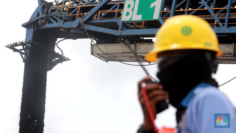 Aktivitas pertambangan batubara milik Bayan Resources di Tabang/Pakar, Kalimantan, Jumat (17/11/2023). (CNBC Indonesia/Muhammad Sabki)