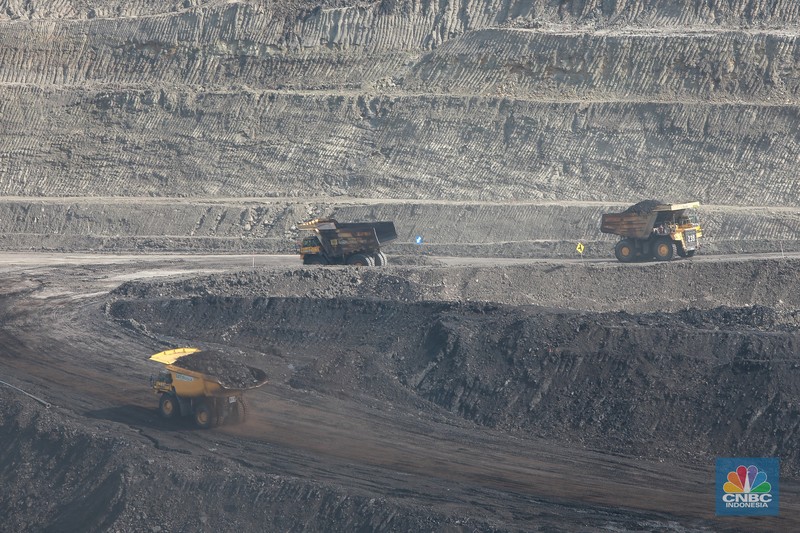 Aktivitas pertambangan batubara milik Bayan Resources di Tabang/Pakar, Kalimantan, Jumat (17/11/2023). (CNBC Indonesia/Muhammad Sabki)
