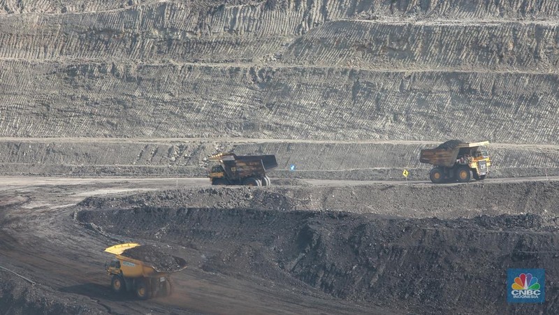 Aktivitas pertambangan batubara milik Bayan Resources di Tabang/Pakar, Kalimantan, Jumat (17/11/2023). (CNBC Indonesia/Muhammad Sabki)
