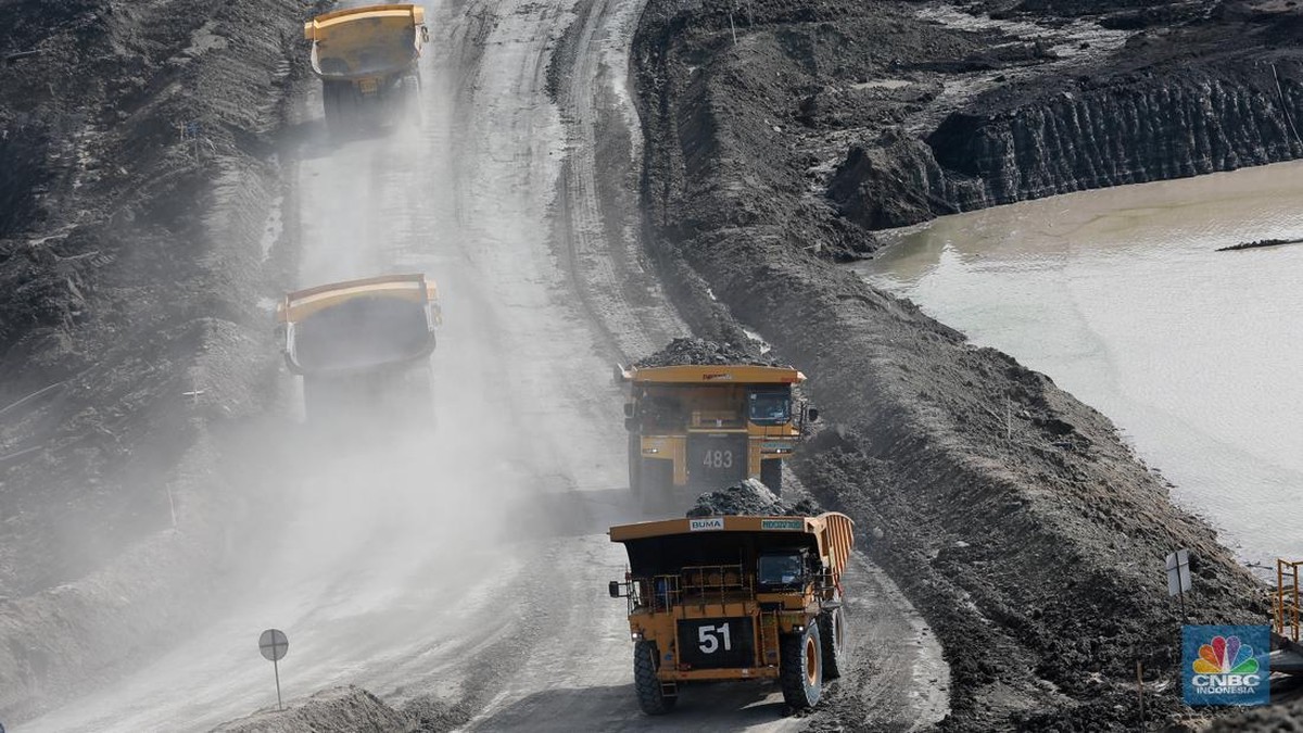 Produksi Batu Bara-Nikel Cs Bakal Dipotong Tahun Depan, Ini Alasannya