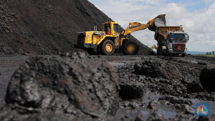 Aktivitas pertambangan batubara milik Bayan Resources di Tabang/Pakar, Kalimantan, Jumat (17/11/2023). (CNBC Indonesia/Muhammad Sabki)