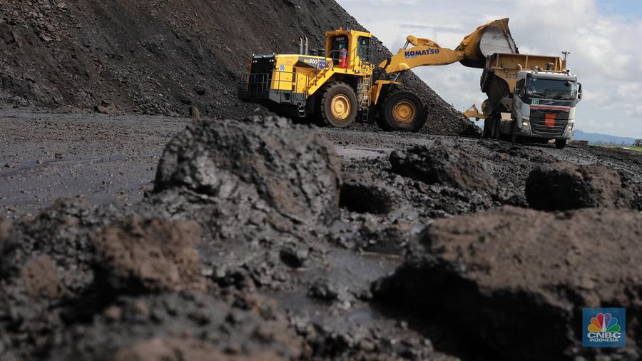 Aktivitas pertambangan batubara milik Bayan Resources di Tabang/Pakar, Kalimantan, Jumat (17/11/2023). (CNBC Indonesia/Muhammad Sabki)