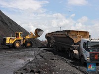 Harga Batubara Jatuh 5% Tapi Sahamnya Malah Perkasa, Ngarep Dividen?
