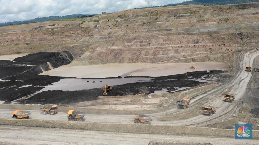 Aktivitas pertambangan batubara milik Bayan Resources di Tabang/Pakar, Kalimantan, Jumat (17/11/2023). (CNBC Indonesia/Muhammad Sabki)