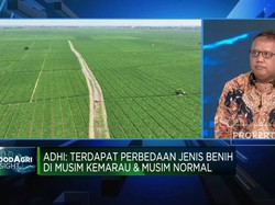 Bos BUMN Pangan Ungkap Jurus Genjot Produksi Beras Nasional
