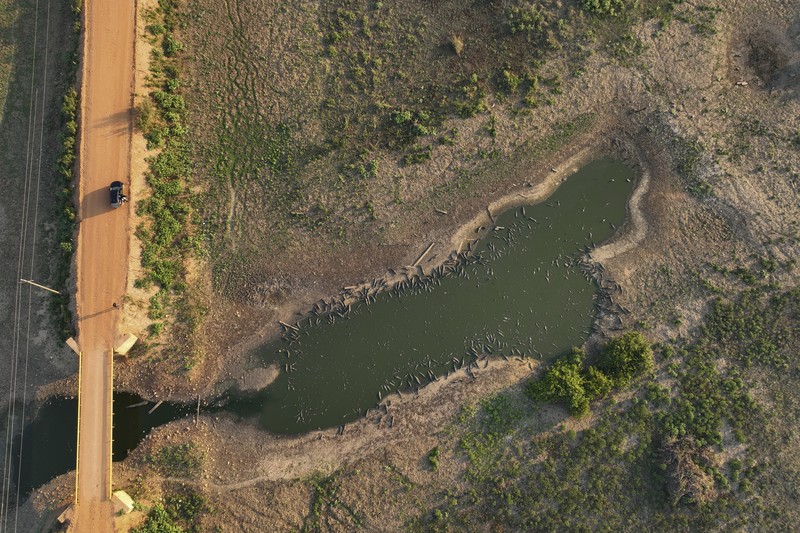 Kebakaran lahan basah tropis di di Pantanal, Brazil. (AP Photo/Andre Penner)