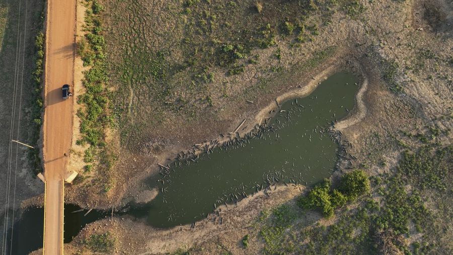 Kebakaran lahan basah tropis di di Pantanal, Brazil. (AP Photo/Andre Penner)