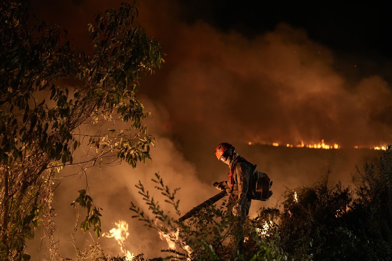 Kebakaran lahan basah tropis di di Pantanal, Brazil. (AP Photo/Andre Penner)