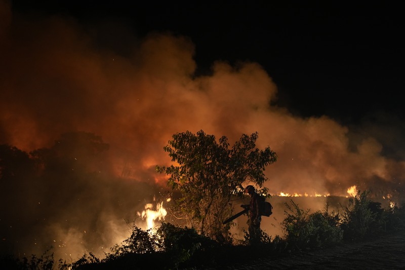 Kebakaran lahan basah tropis di di Pantanal, Brazil. (AP Photo/Andre Penner)