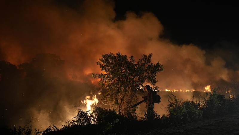 Kebakaran lahan basah tropis di di Pantanal, Brazil. (AP Photo/Andre Penner)