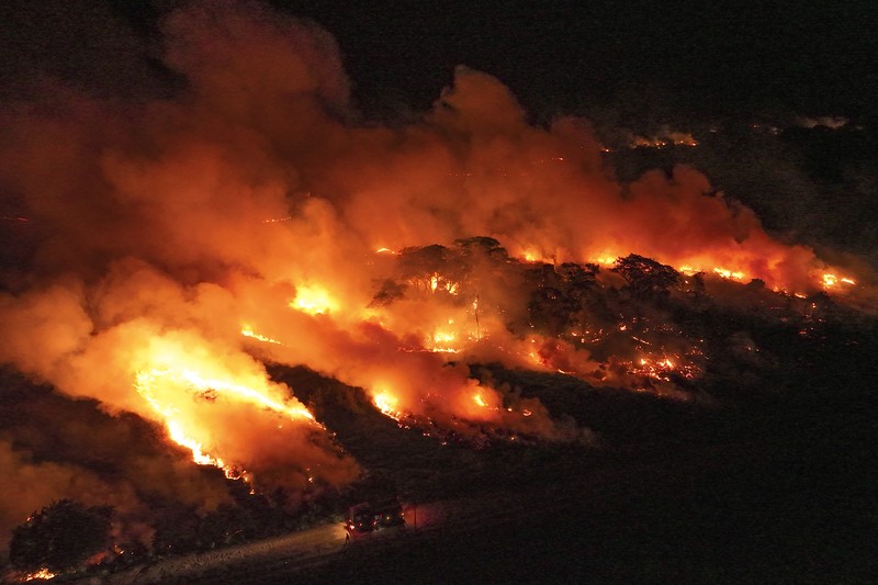 Kebakaran lahan basah tropis di di Pantanal, Brazil. (AP Photo/Andre Penner)