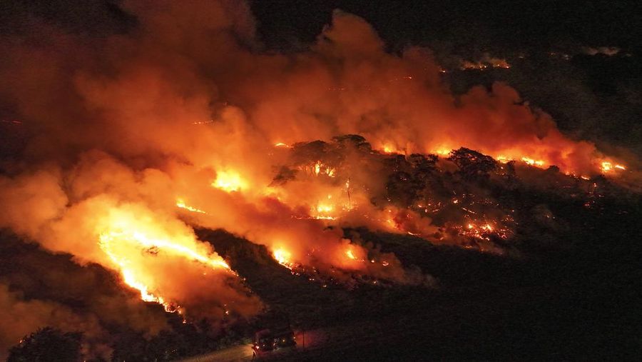 Kebakaran lahan basah tropis di di Pantanal, Brazil. (AP Photo/Andre Penner)