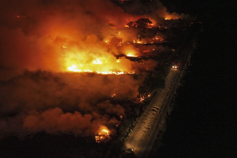 Kebakaran lahan basah tropis di di Pantanal, Brazil. (AP Photo/Andre Penner)