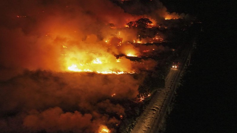 Kebakaran lahan basah tropis di di Pantanal, Brazil. (AP Photo/Andre Penner)
