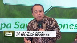 Kebijakan Pemerintah Dinilai Belum Berpihak ke Petani Sawit?