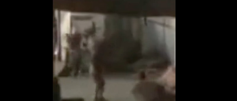 Tentara Israel serbu Rumah Sakit (RS) Al- Shifa, Gaza. (Tangkapan Laya Media Sosial)