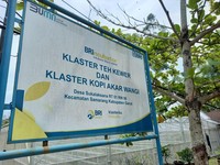 Program BRI 'Klasterku Hidupku' Bawa Kopi Ini Semakin Tumbuh