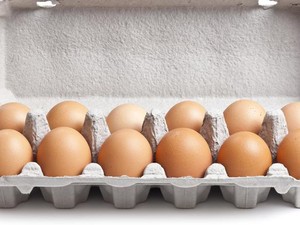 Kuning Telur Warnanya Pucat? Ini Arti di Baliknya