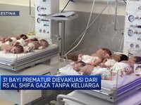 31 Bayi Prematur Dievakuasi Dari RS Al Shifa Gaza