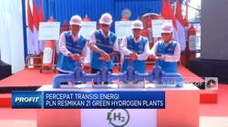 Genjot Transisi Energi, PLN Resmikan 21 Green Hydrogen Plants