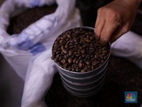 Kopi RI Juara Dunia, Pemain Ini Buktinya