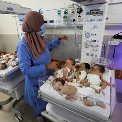 Bos RS Al-Shifa Ditahan Israel, WHO Buka Suara