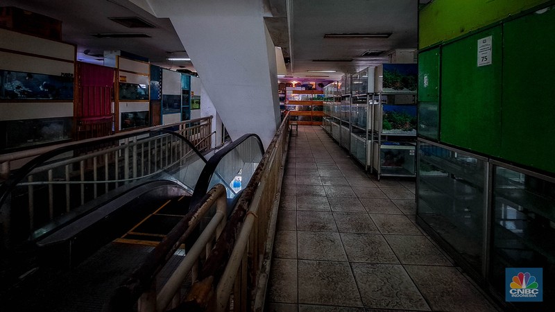 Suasana penjualan ikan hias di Pusat Promosi Ikan Hias, Jakarta, Senin (20/11/2023). (CNBC Indonesia/Faisal Rahman)