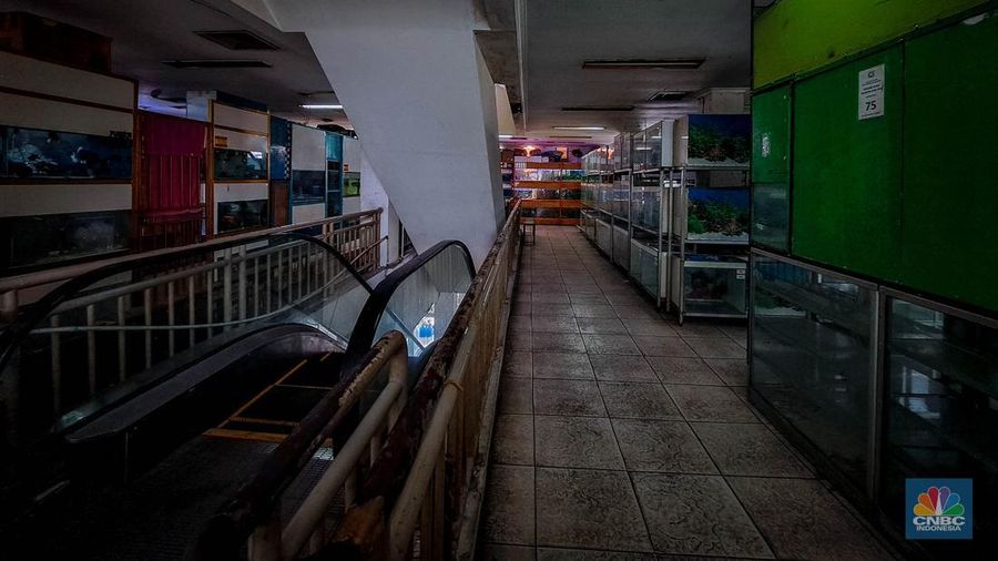 Suasana penjualan ikan hias di Pusat Promosi Ikan Hias, Jakarta, Senin (20/11/2023). (CNBC Indonesia/Faisal Rahman)