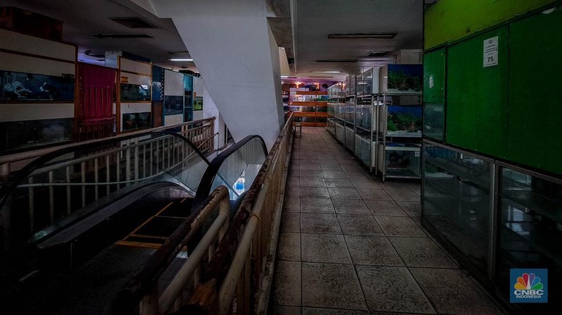 Suasana penjualan ikan hias di Pusat Promosi Ikan Hias, Jakarta, Senin (20/11/2023). (CNBC Indonesia/Faisal Rahman)