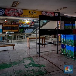 Sedih! Sentra Ikan Hias di Jakarta Ini Sepi Bak Kuburan