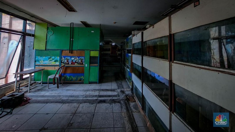 Suasana penjualan ikan hias di Pusat Promosi Ikan Hias, Jakarta, Senin (20/11/2023). (CNBC Indonesia/Faisal Rahman)