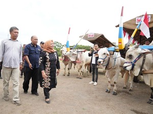 Bupati Sleman Dukung Pelestarian Gerobak Sapi Sebagai Daya Tarik Wisata