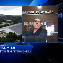Marah! Petani Tembakau Siap Lawan Habis-habisan RPP Kesehatan
