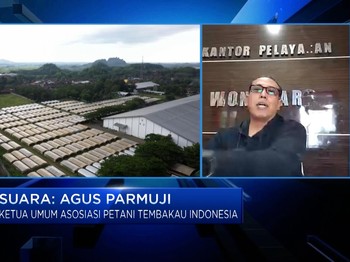 Marah! Petani Tembakau Siap Lawan Habis-habisan RPP Kesehatan