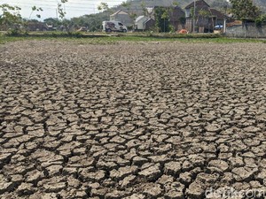 40 Desa di Trenggalek Masih Krisis Air Meski Hujan Turun