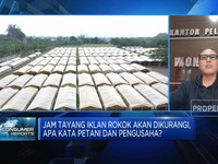 Petani Tembakau: RPP Kesehatan Jadi Awan Gelap & Tak Adil